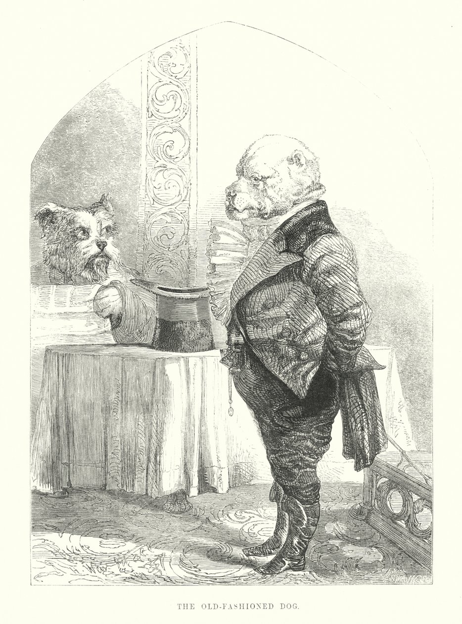 Lustige Hunde: Der altmodische Hund von Harrison William Weir