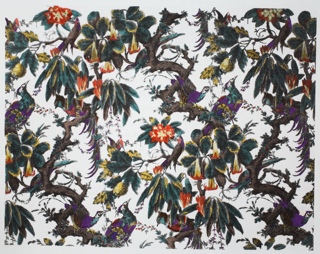 Tropischer Wald, veröffentlicht 1933 von Harry Wearne