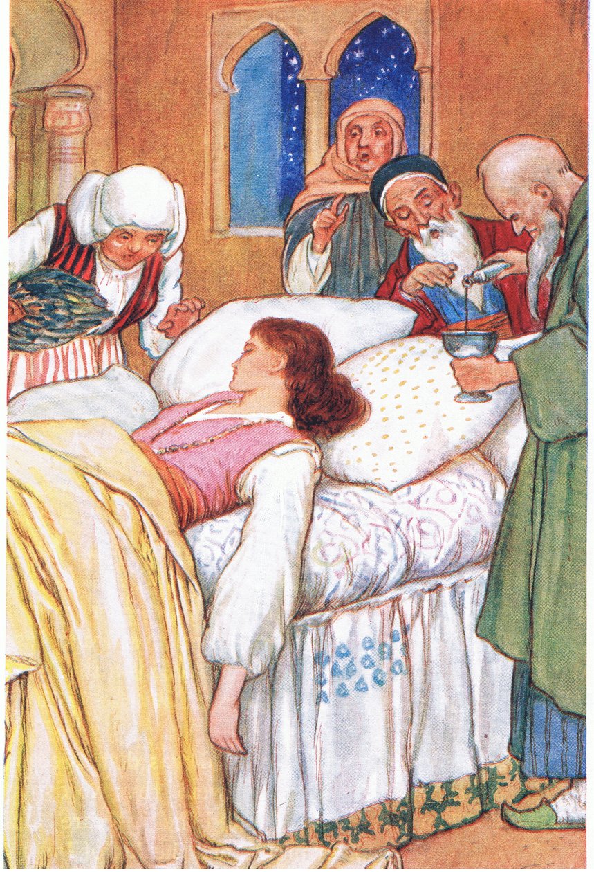 Prinzessin Aldebonda und ihre Ärzte, aus der Geschichte 