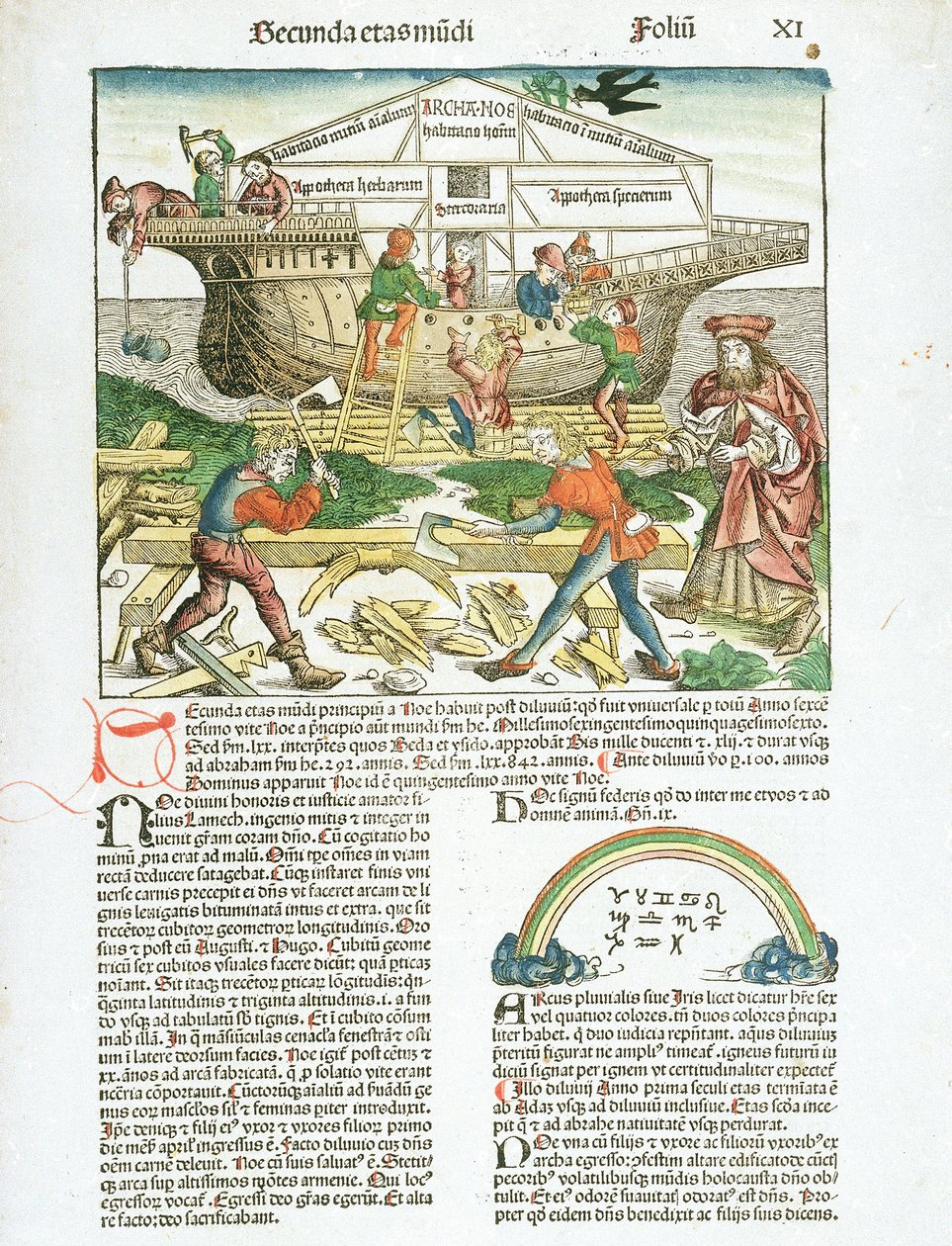 Der Bau der Arche Noah, Beschreibung der Aktivitäten der Schiffbauer von Hartmann Schedel