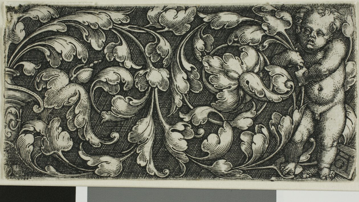 Ein Doppelblatt-Ornament mit einem Putto rechts von Heinrich Aldegrever