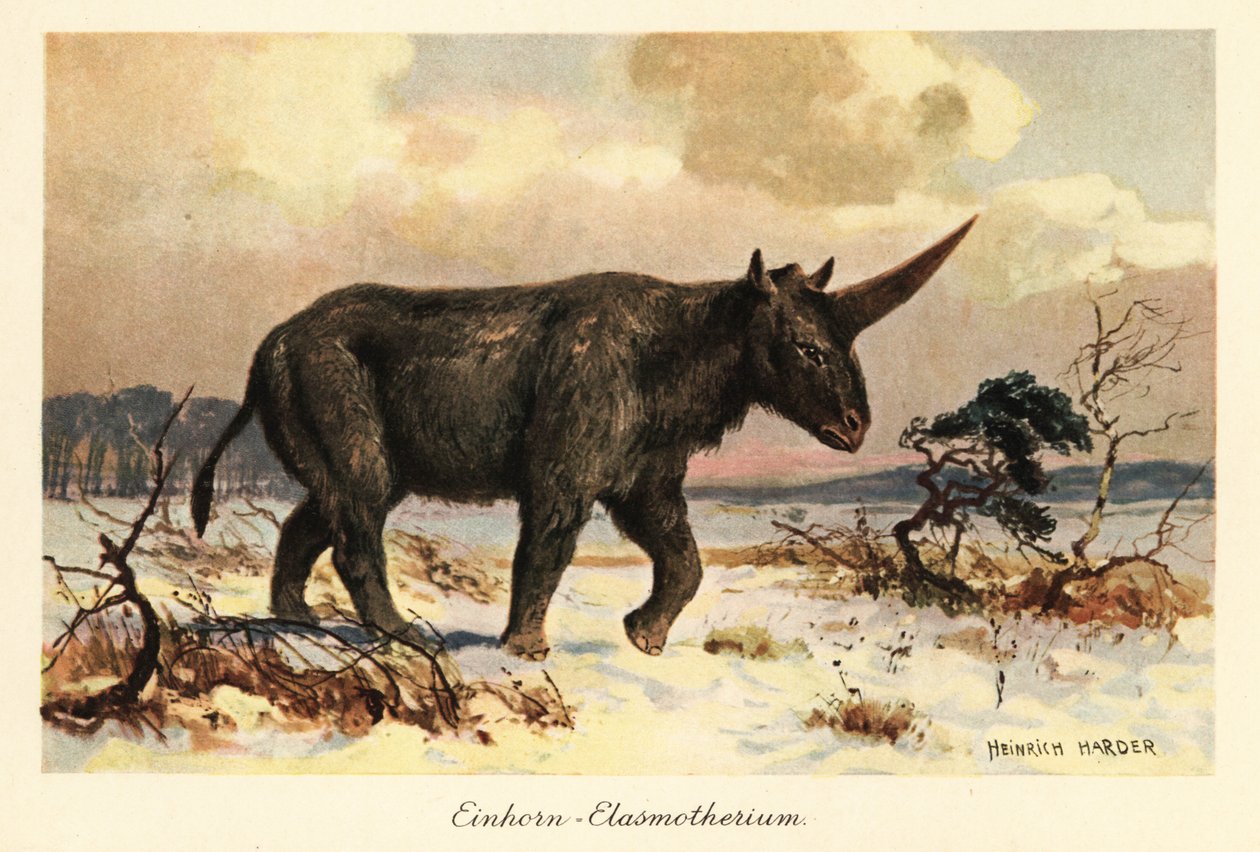 Sibirisches Einhorn, Elasmotherium sibiricum, auf einer verschneiten Ebene von Heinrich Harder