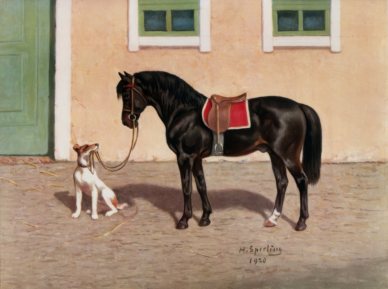Pferd, Rappe (nach H. Sperling) von Heinrich Sperling