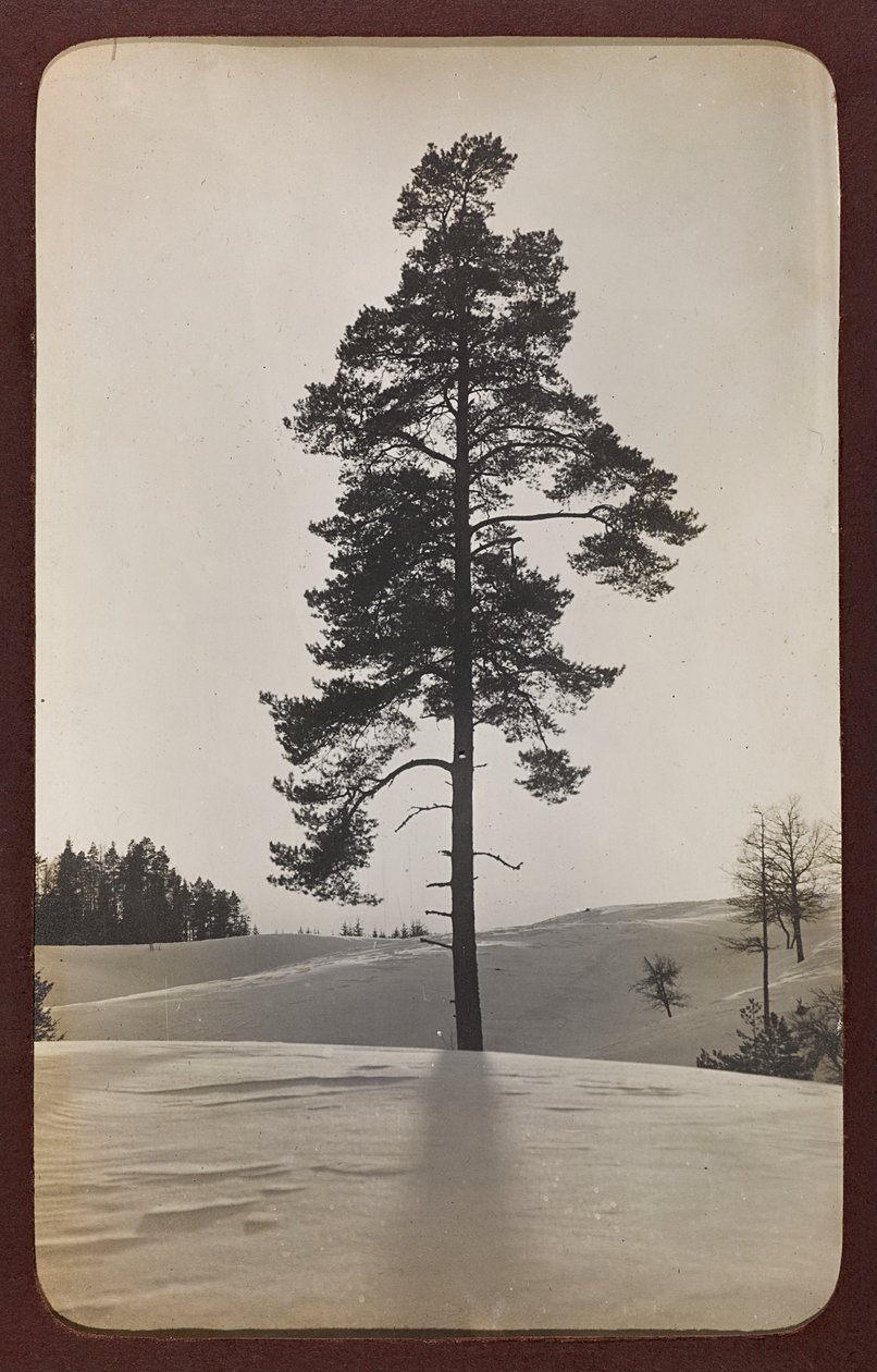 Erster Weltkrieg: die Ukraine in den Jahren 1914-1916 während der Invasion der deutschen Armee. Landschaft mit Schnee (s/w Foto) von Heldenfriedhof Dsessentniki (attr. to)