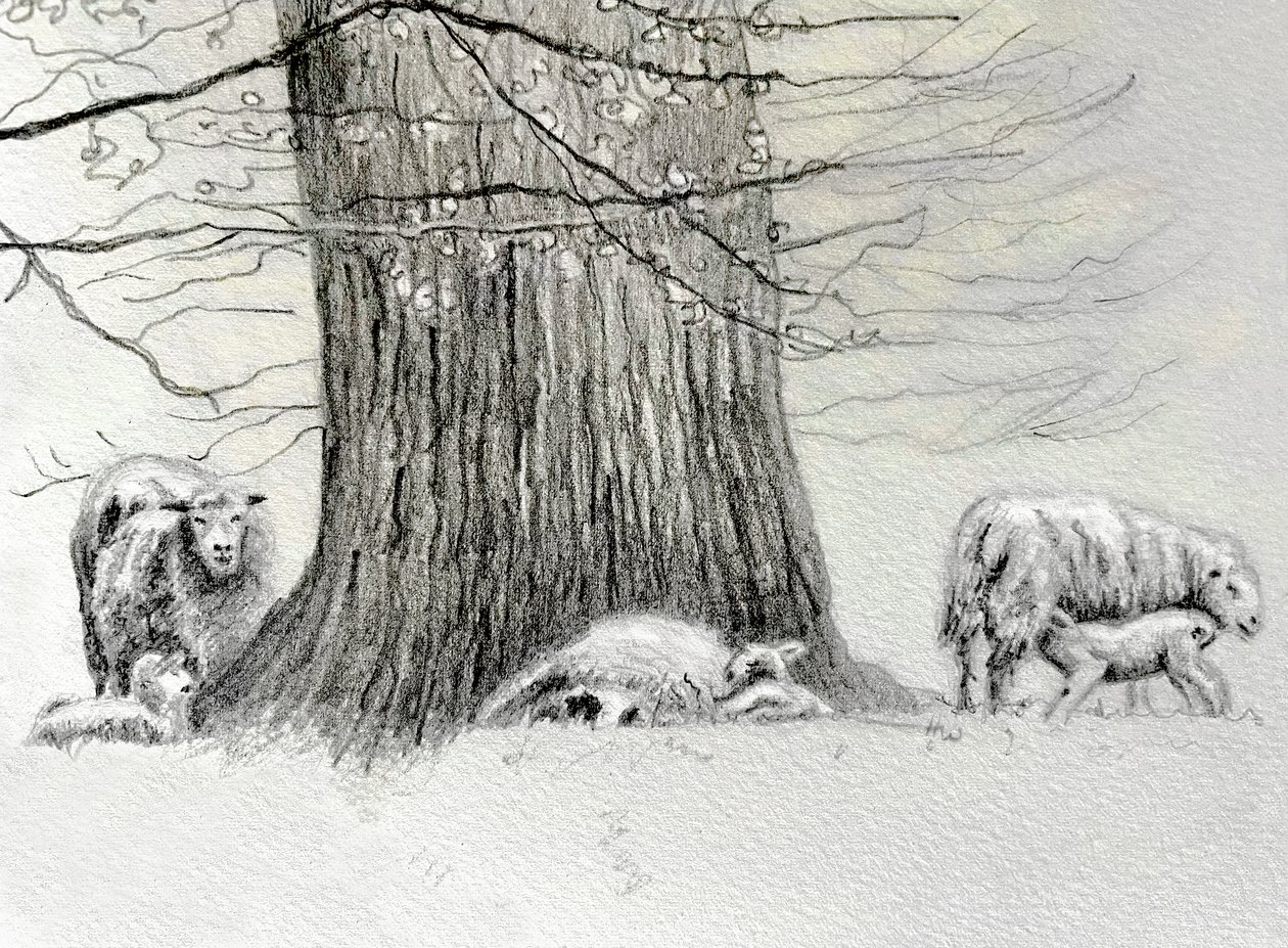 Schattiger Baum, 2022 von Helen White