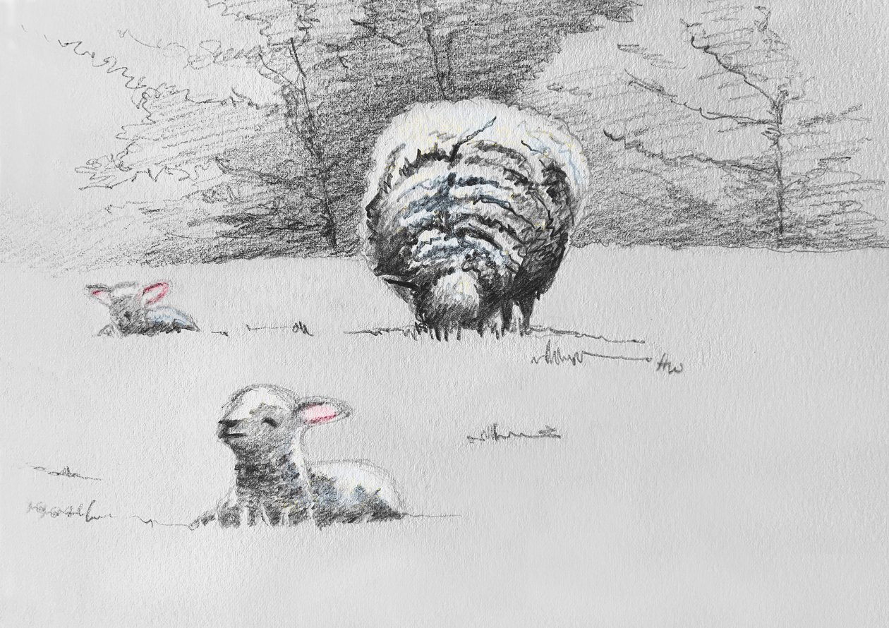 Schaftrio, 2022 von Helen White