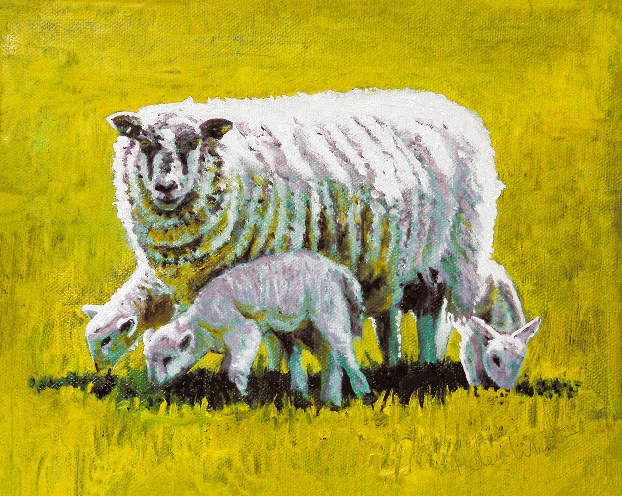 Zusammen von Helen White