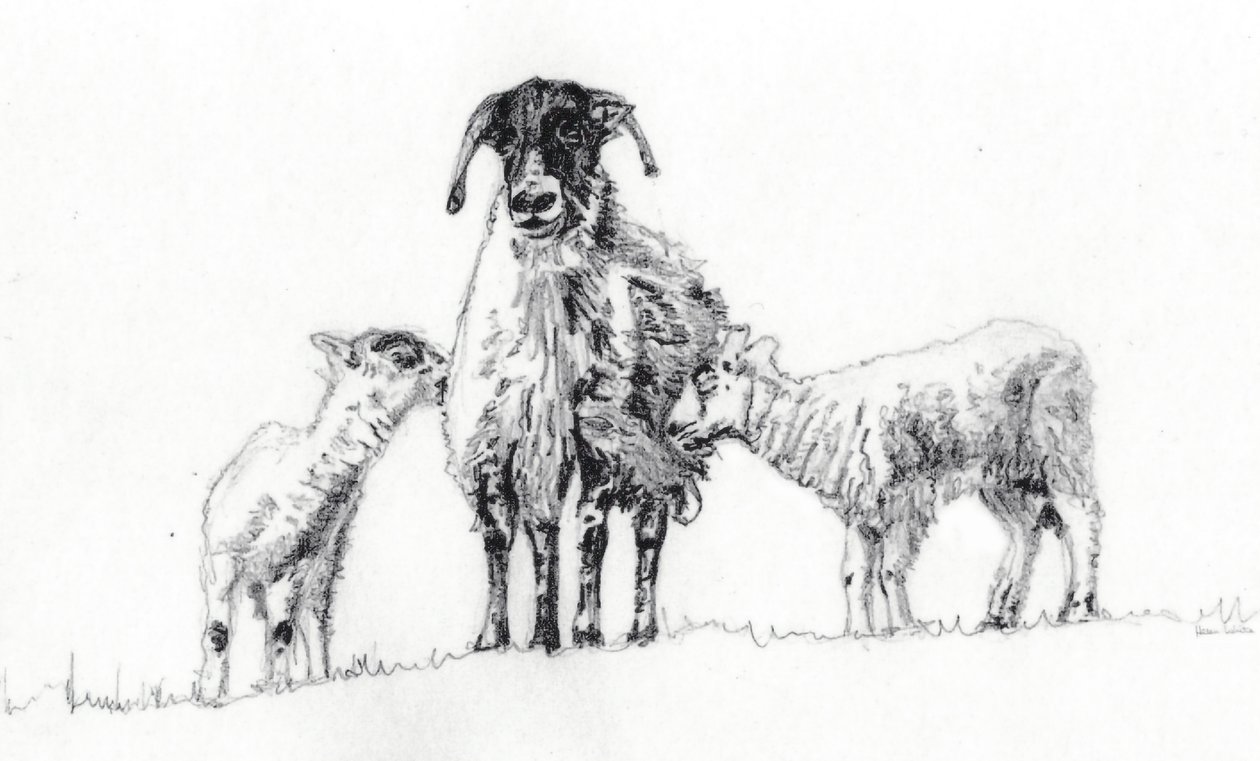 Wir Drei, 2012 von Helen White