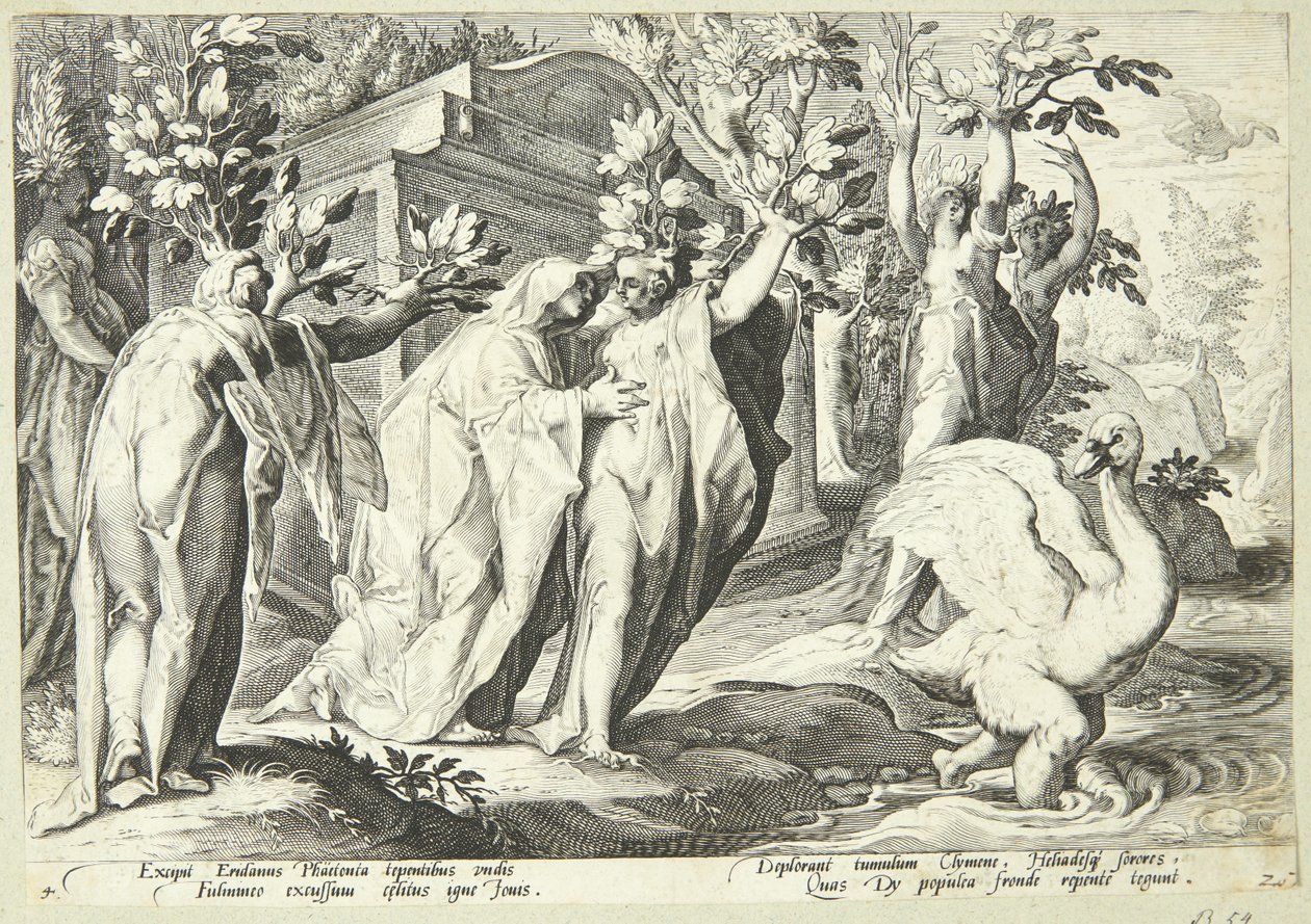 Phaetons Schwestern verwandeln sich in Pappeln und Cygnus in einen Schwan von Hendrick Goltzius