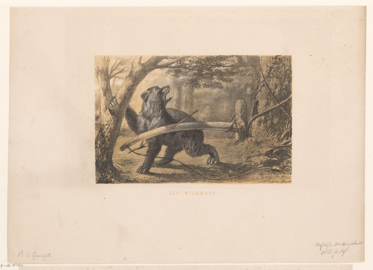 Bär in einer Falle von Hendrik Adriaan Christiaan Dekker