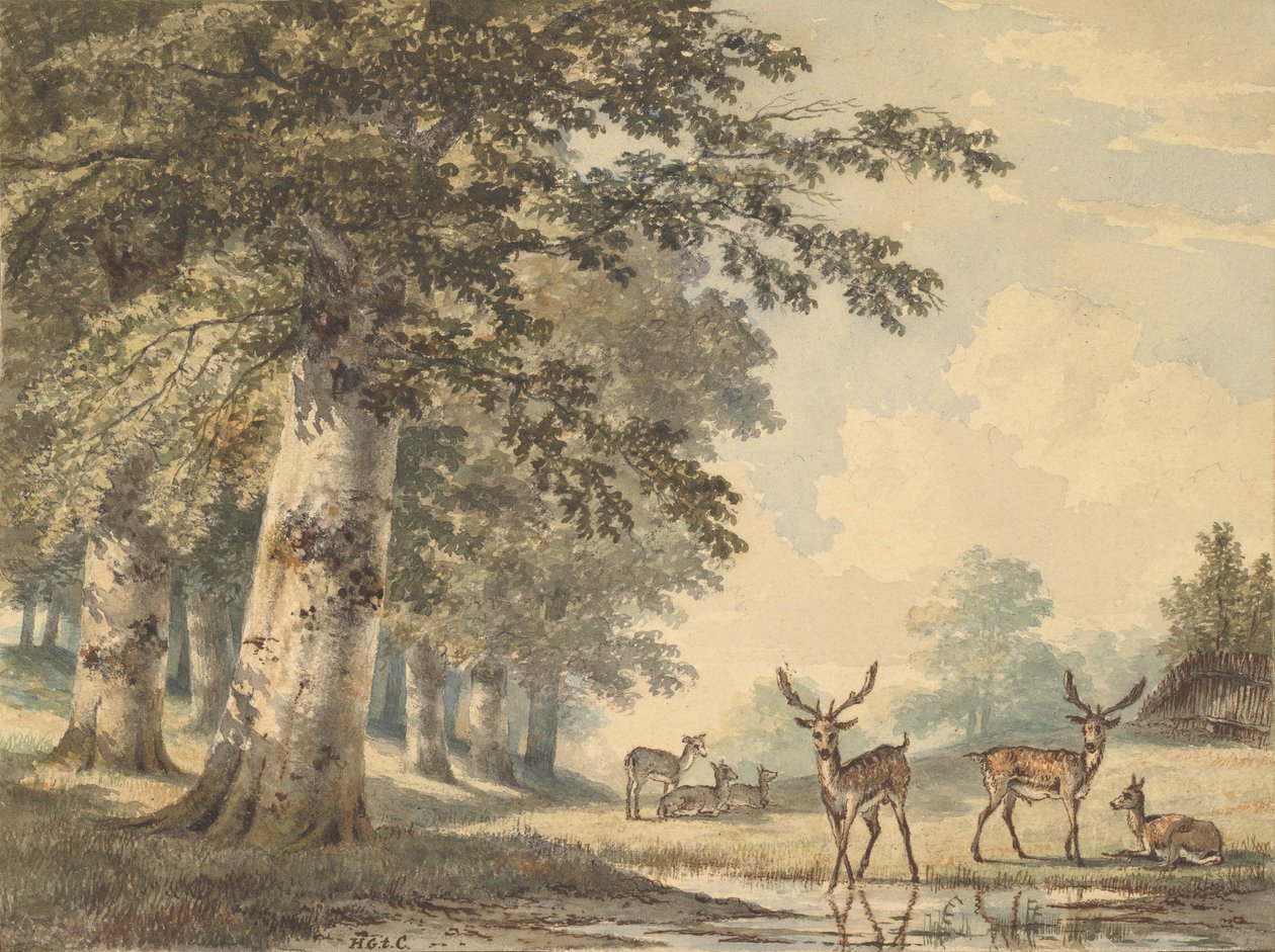 Hirsche unter Buchen im Winter, 1853 von Hendrik Gerrit ten Cate