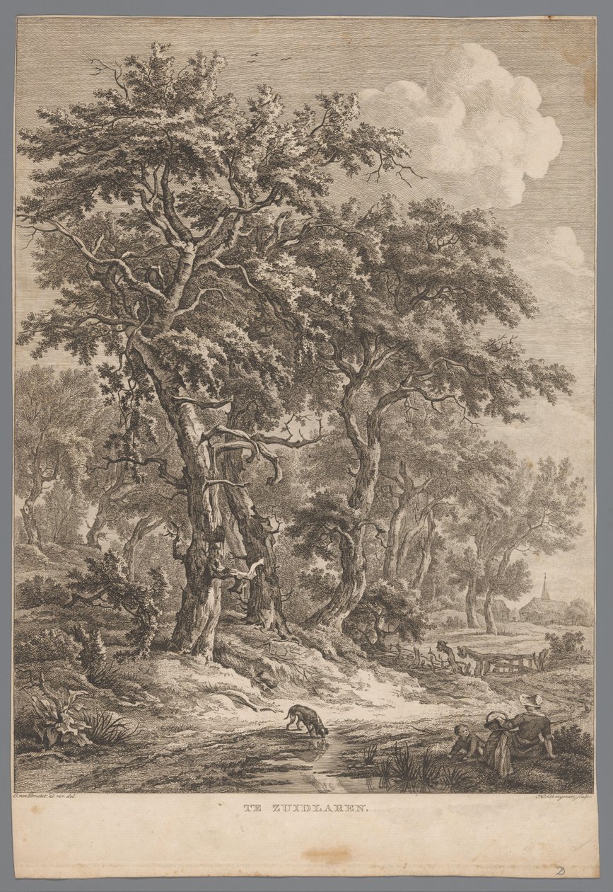 Landschaft bei Zuidlaren von Hendrik Schwegman