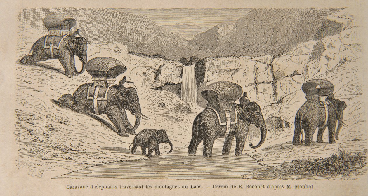 Karawane von Elefanten überquert die Berge von Laos, Druck von E. Bocourt, Illustration aus 