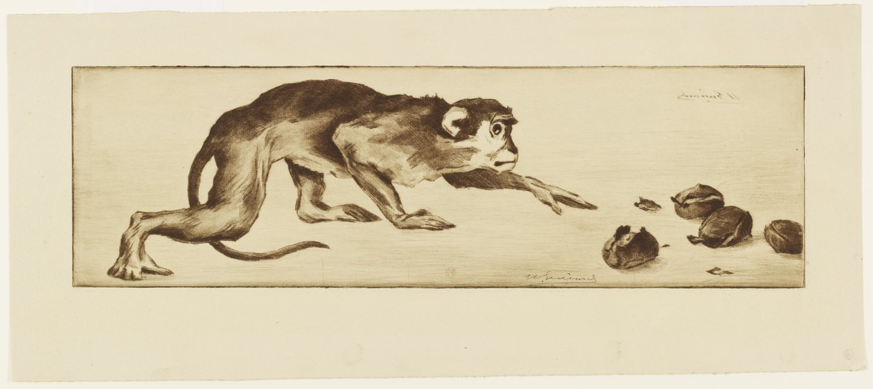 Affe und Kastanien, 19. Jahrhundert von Henri Charles Guérard
