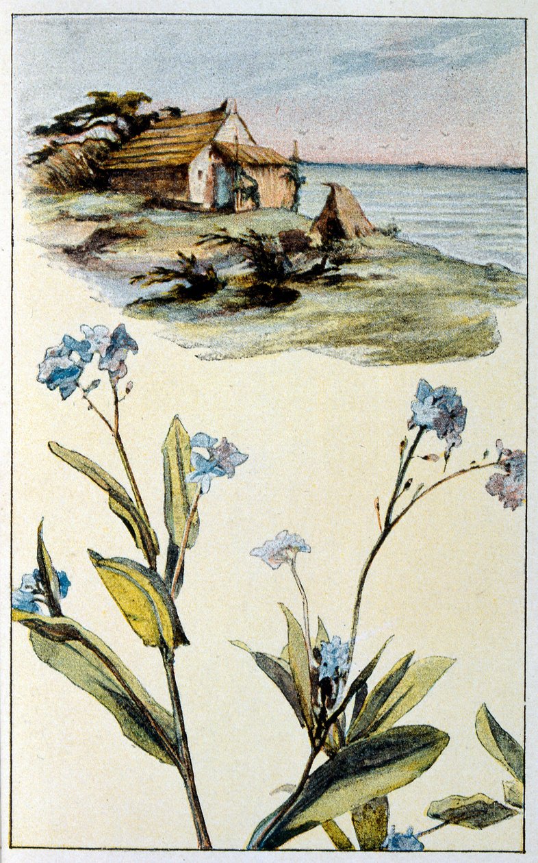 Illustration für 