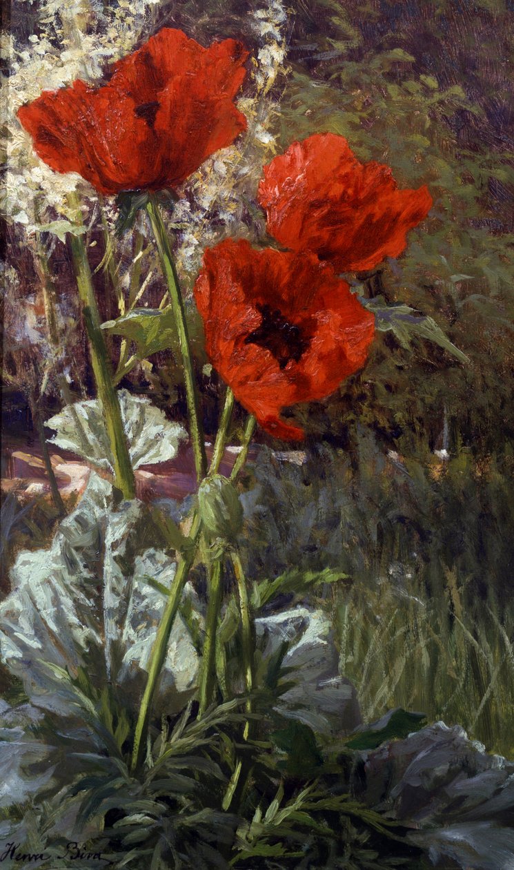 Mohnblumen. Gemälde von Henri Biva (1848-1928) Privatsammlung. von Henri Biva