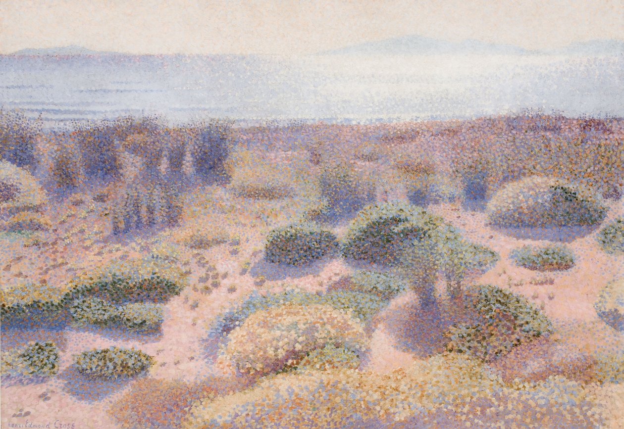 Der Strand von Vignasse von Henri-Edmond Cross