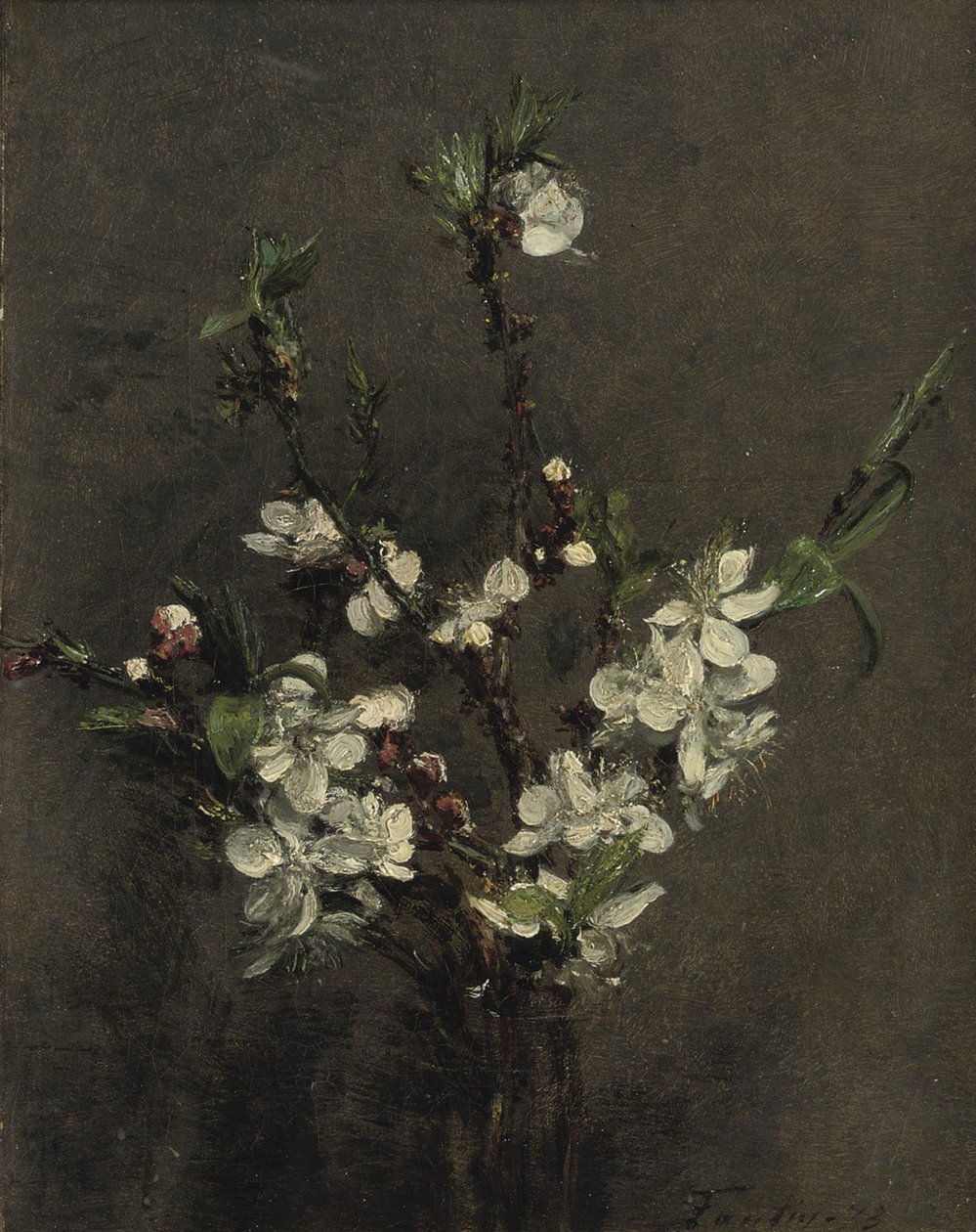 Obstbaumblüten von Ignace Henri Jean Fantin Latour