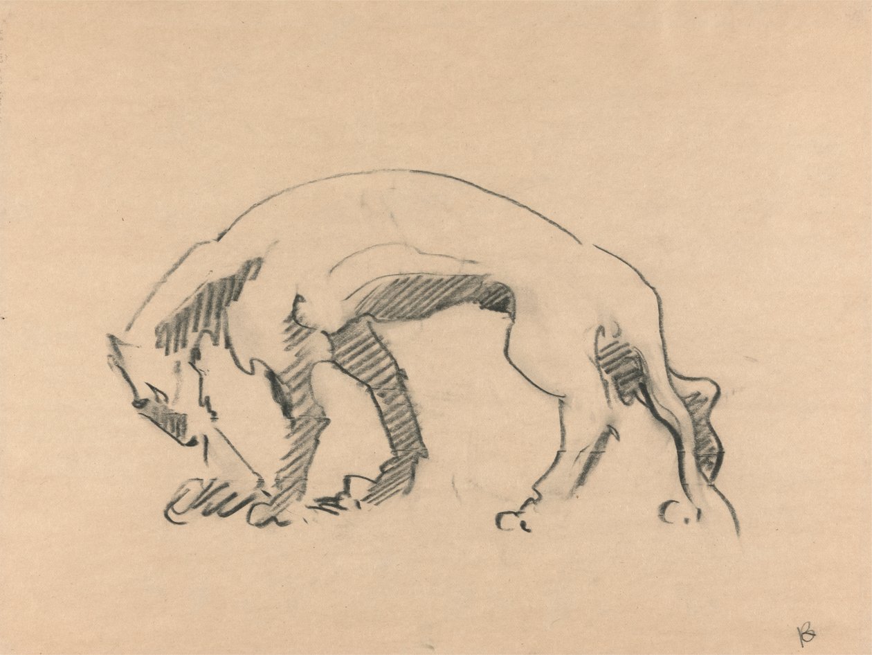 Löwin im Profil von Henri Gaudier Brzeska