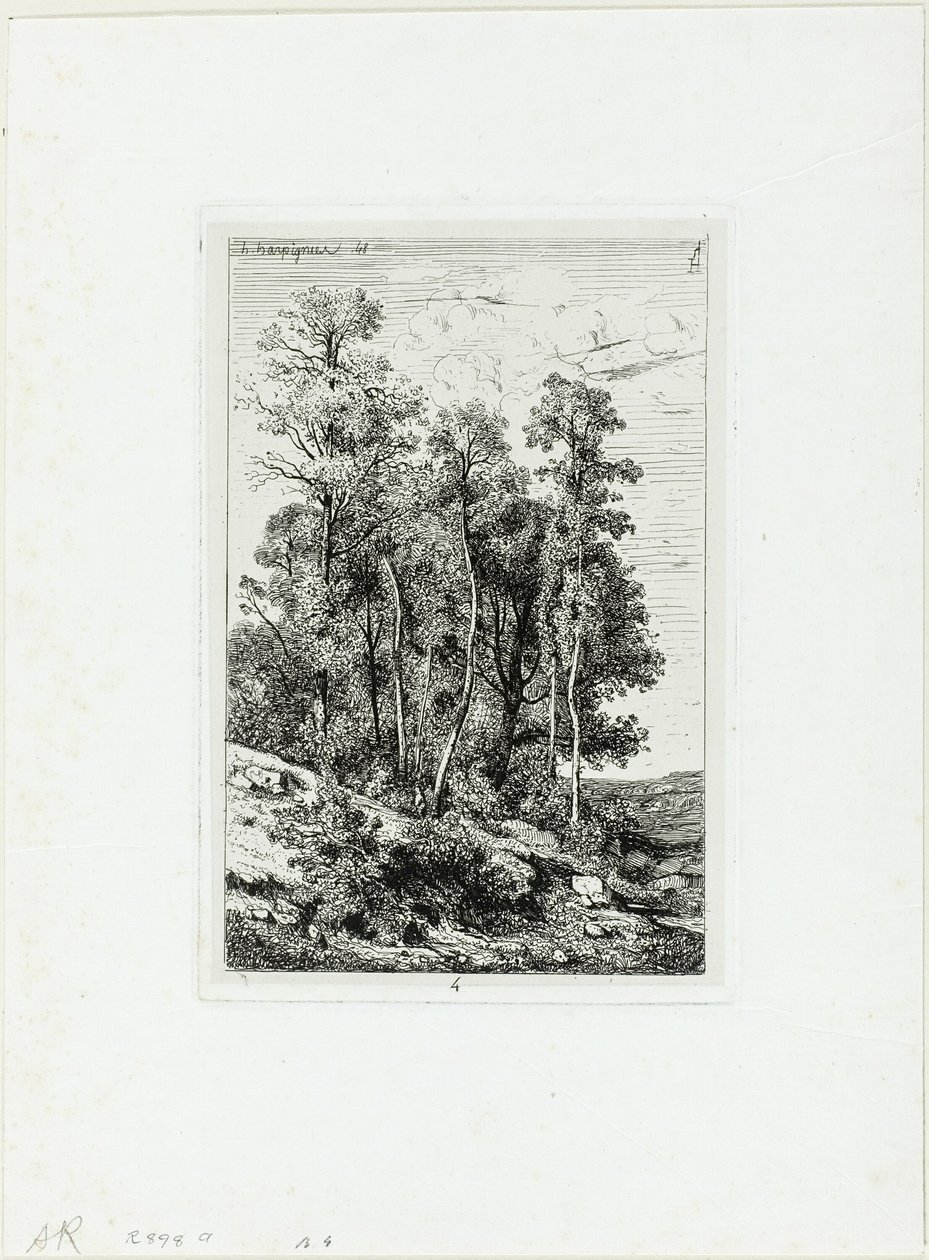 Birken und Eichen von Henri-Joseph Harpignies