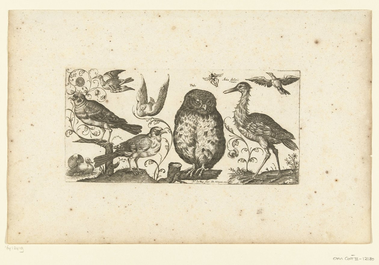 Neun Vögel und ein Insekt von Henri Le Roy