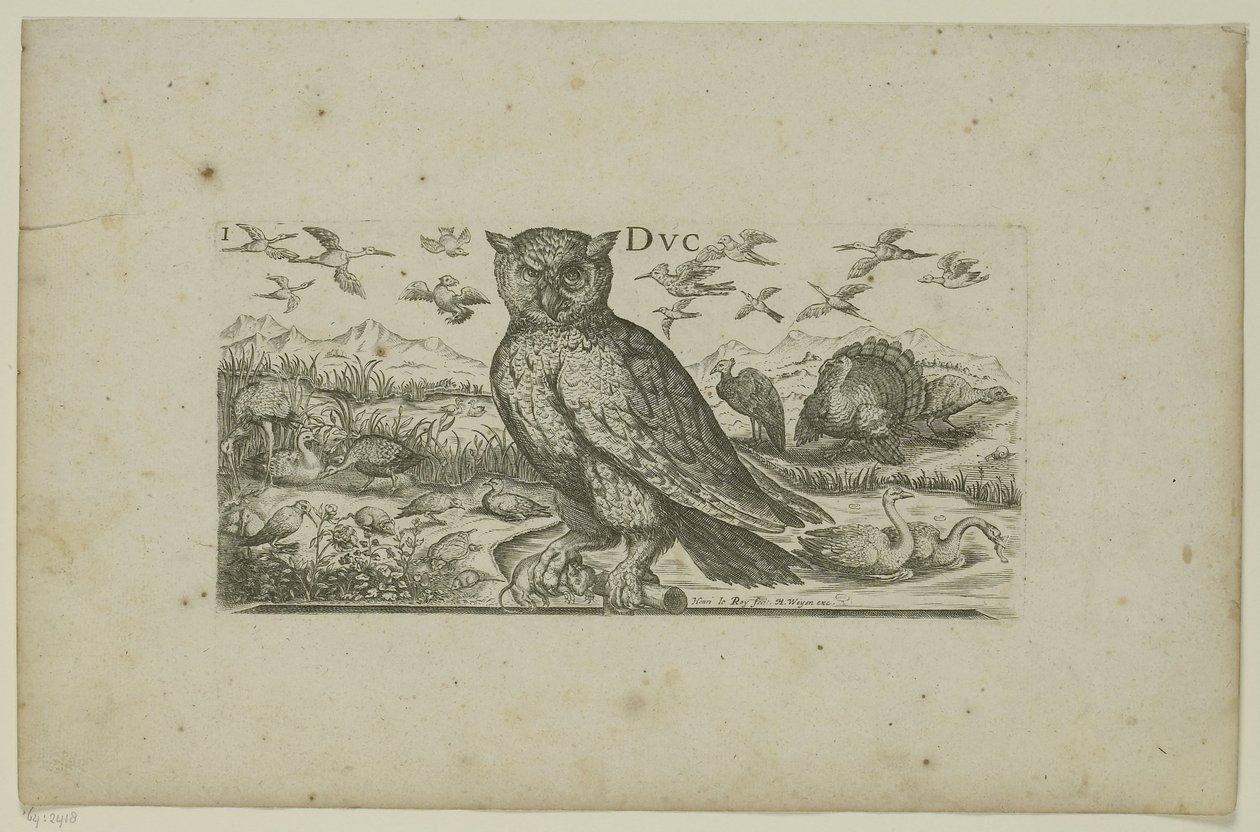 Eule und andere Vögel Vögel (Serientitel) von Henri Le Roy