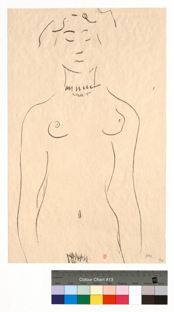 Das Idol von Henri Matisse