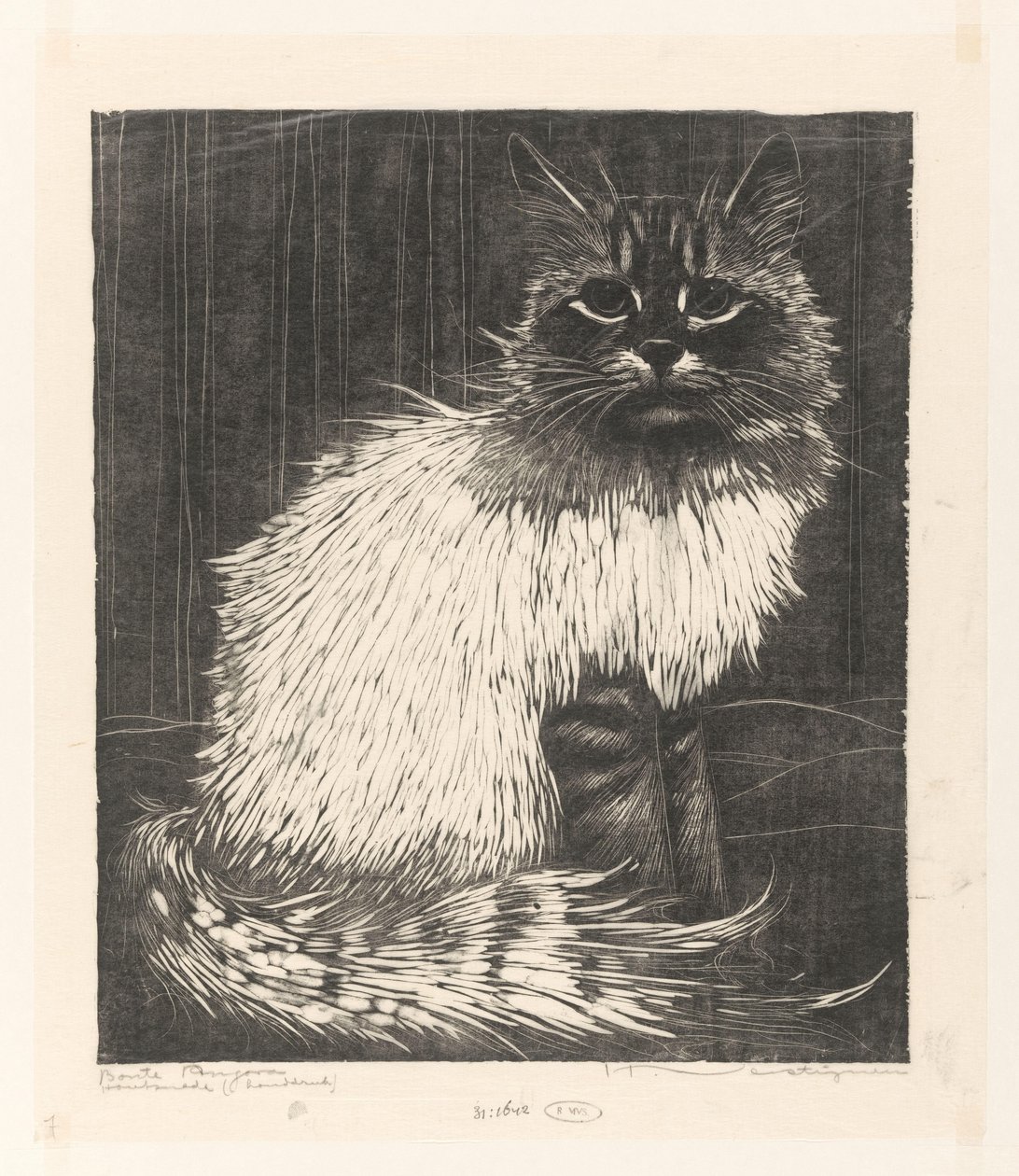 Bunte Angora von Henri Verstijnen (signed by artist)