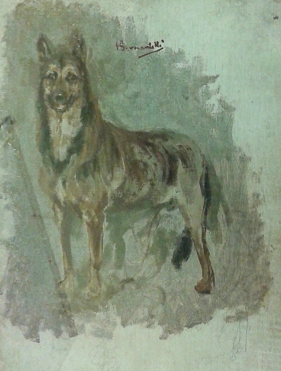 Studie eines Tieres [Hund] von Henrique Bernardelli