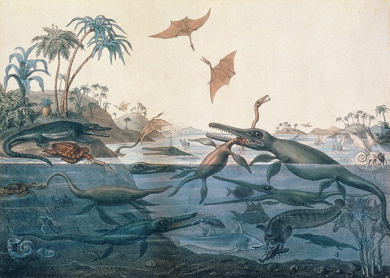 Duria antiquior (Antikes Dorset), eine imaginative Rekonstruktion des Lebens der Jurameere, graviert von George Scharf, gedruckt von Charles Joseph Hullmandel von Henry Thomas De La Beche