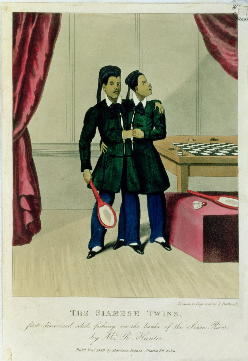 Die siamesischen Zwillinge, erstmals entdeckt beim Angeln am Ufer des Siam-Flusses von Mr. R. Hunter, 1829 von Henry Berthoud
