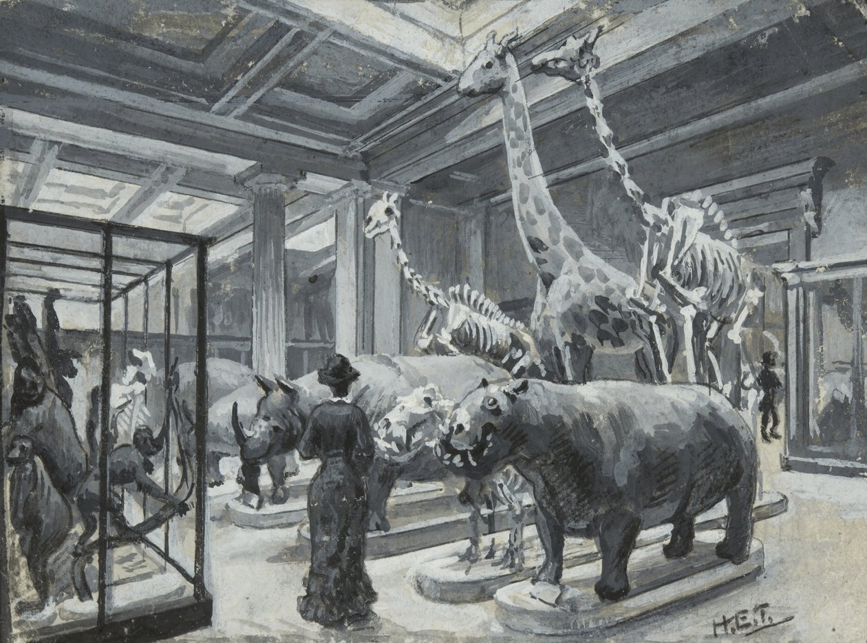 Innenansicht des Britischen Museums mit der Galerie mit Tierausstellungen, ca. 1880 von Henry Edward Tidmarsh