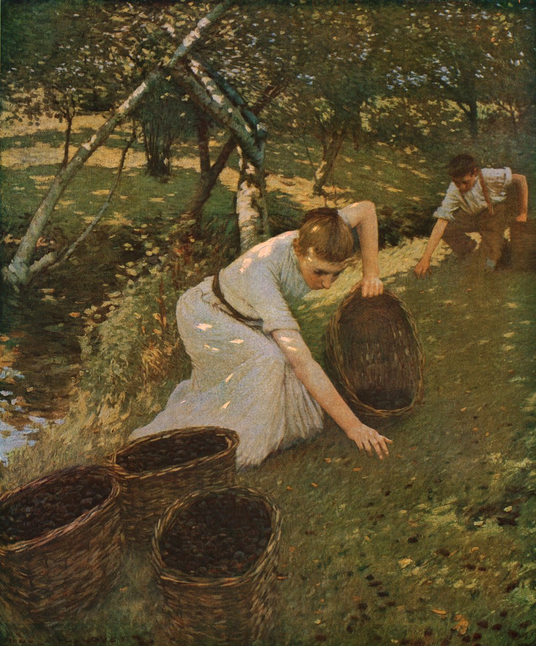 Pflaumen sammeln, 1901 von Henry Herbert La Thangue