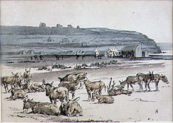 Esel auf dem Golfplatz, Illustration aus der Zeitschrift 