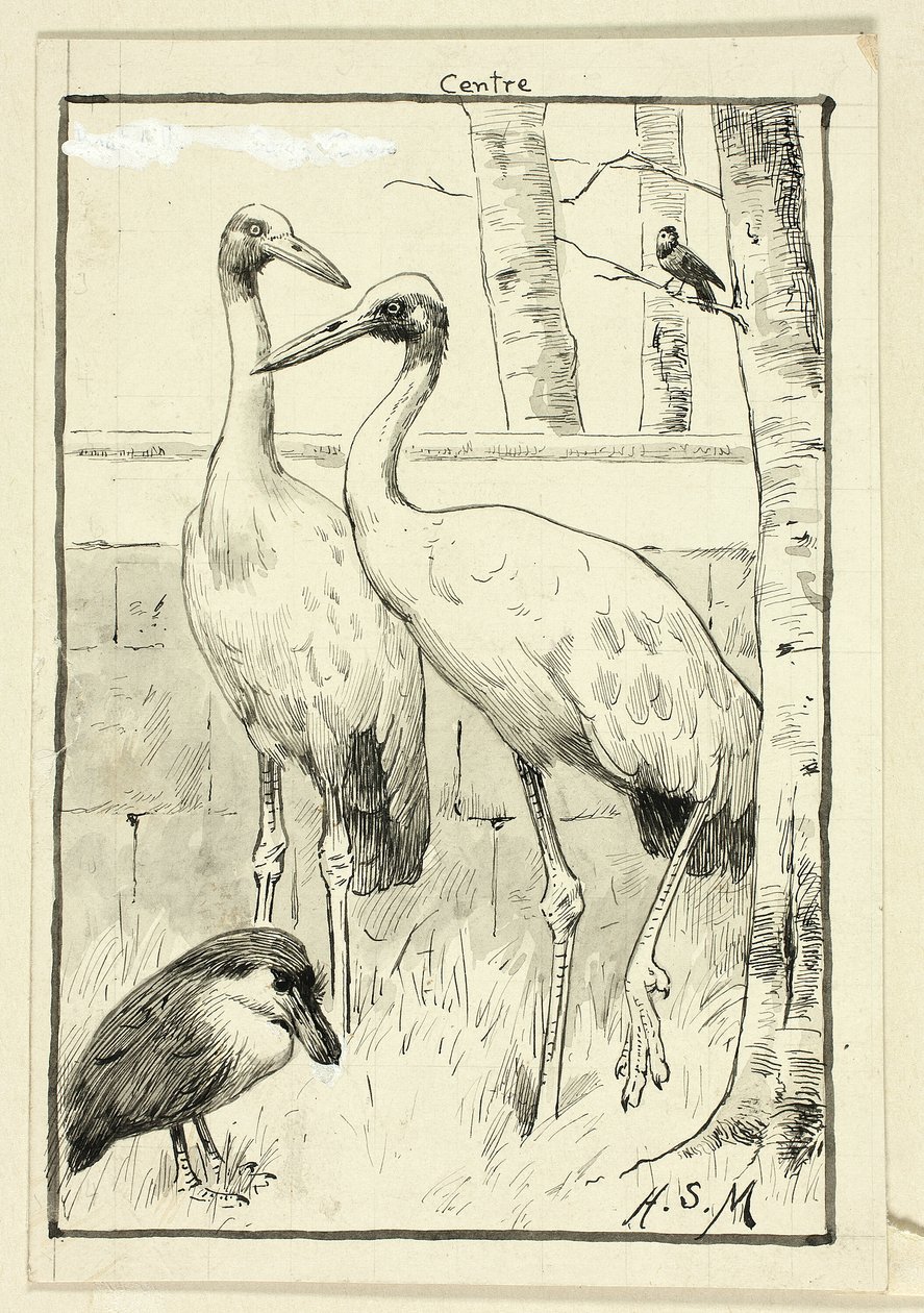 Vier Vögel in der Landschaft von Henry Stacy Marks