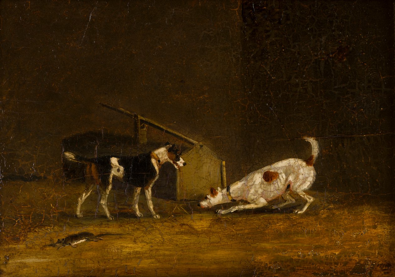 Zwei Terrier beim Ratten von Henry Thomas (follower of) Alken