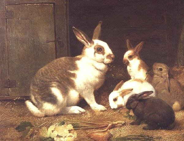 Fütternde Kaninchen von Henry William Carter