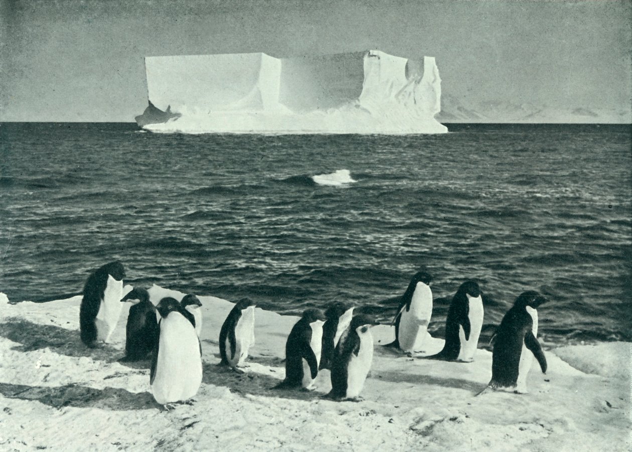 Ein Eisberg treibt im McMurdo-Sund, ca. 1910-1913, 1913 von Herbert Ponting