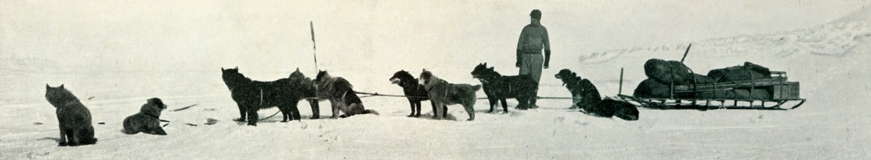 Hunde mit Vorräten, die Hut Point verlassen, um 1911, 1913 von Herbert Ponting