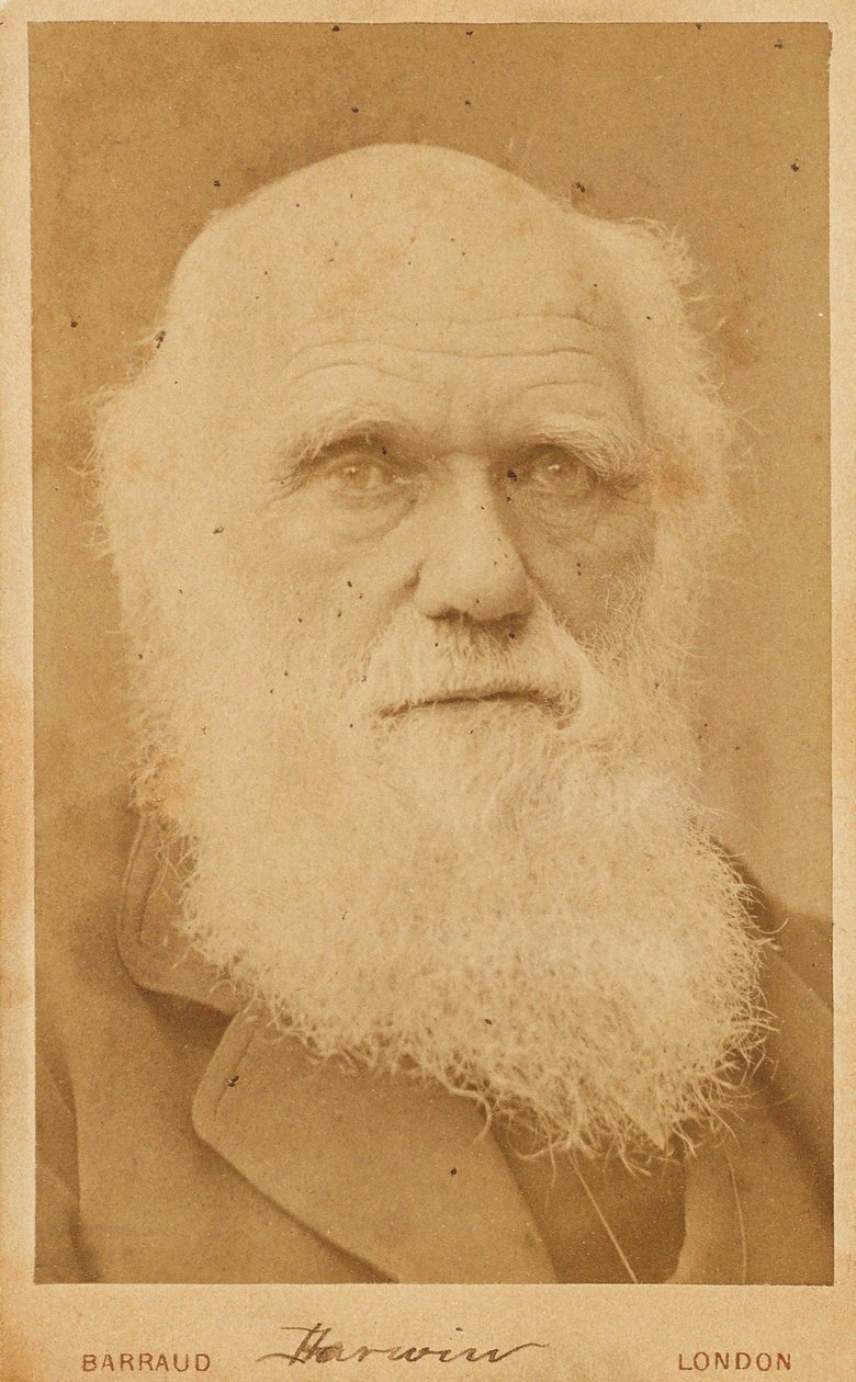 Porträt von Charles Darwin 1809-1882 von Herbert Rose Barraud