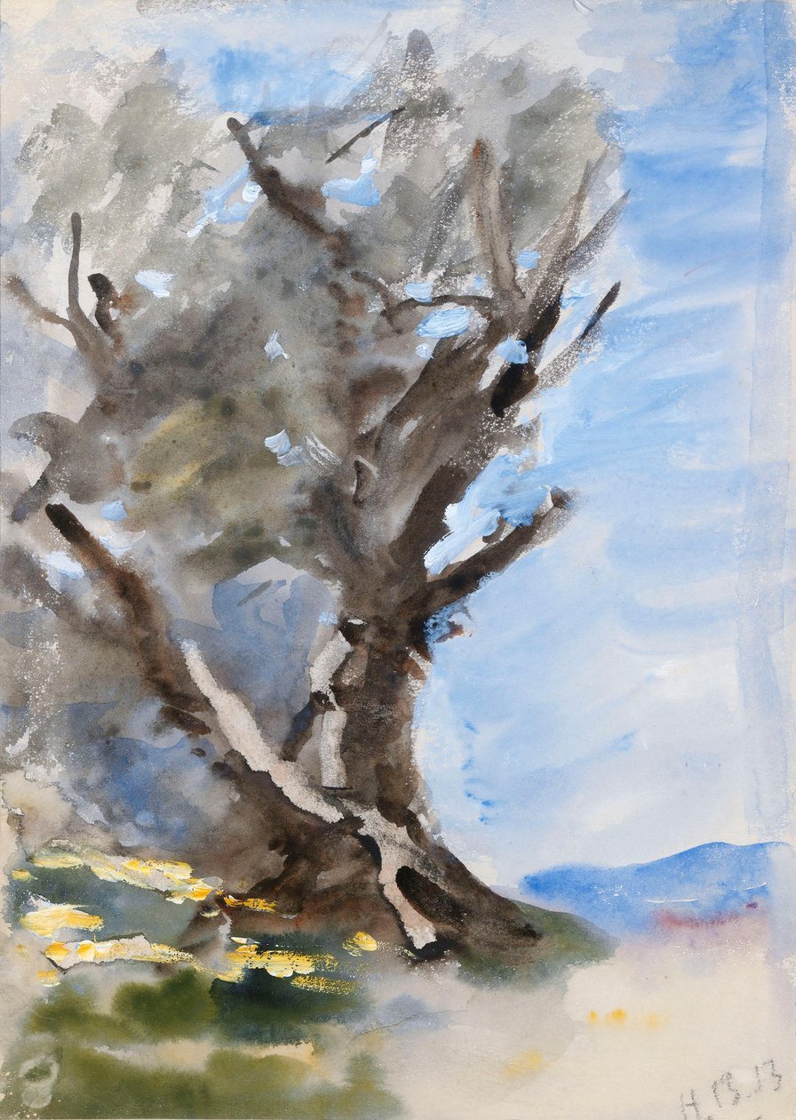 Ein Baum von Hercules Brabazon Brabazon