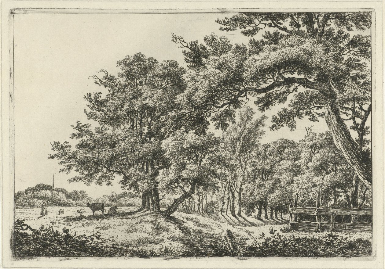 Landschaft mit zwei Kühen im Schatten von Hermanus Fock