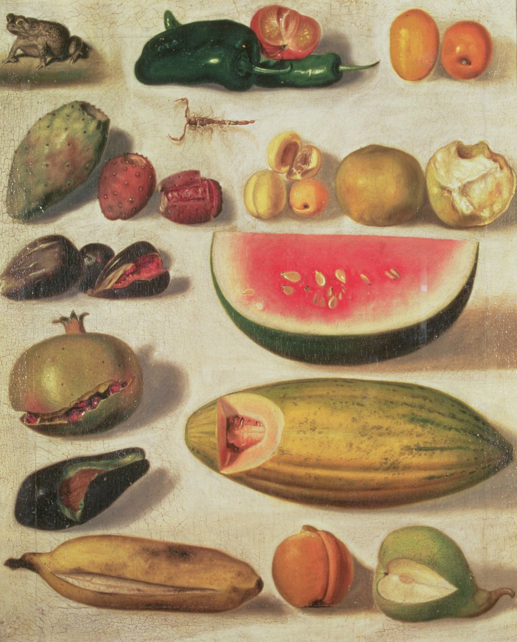 Stillleben mit Früchten und Kröte von Hermenegildo Bustos