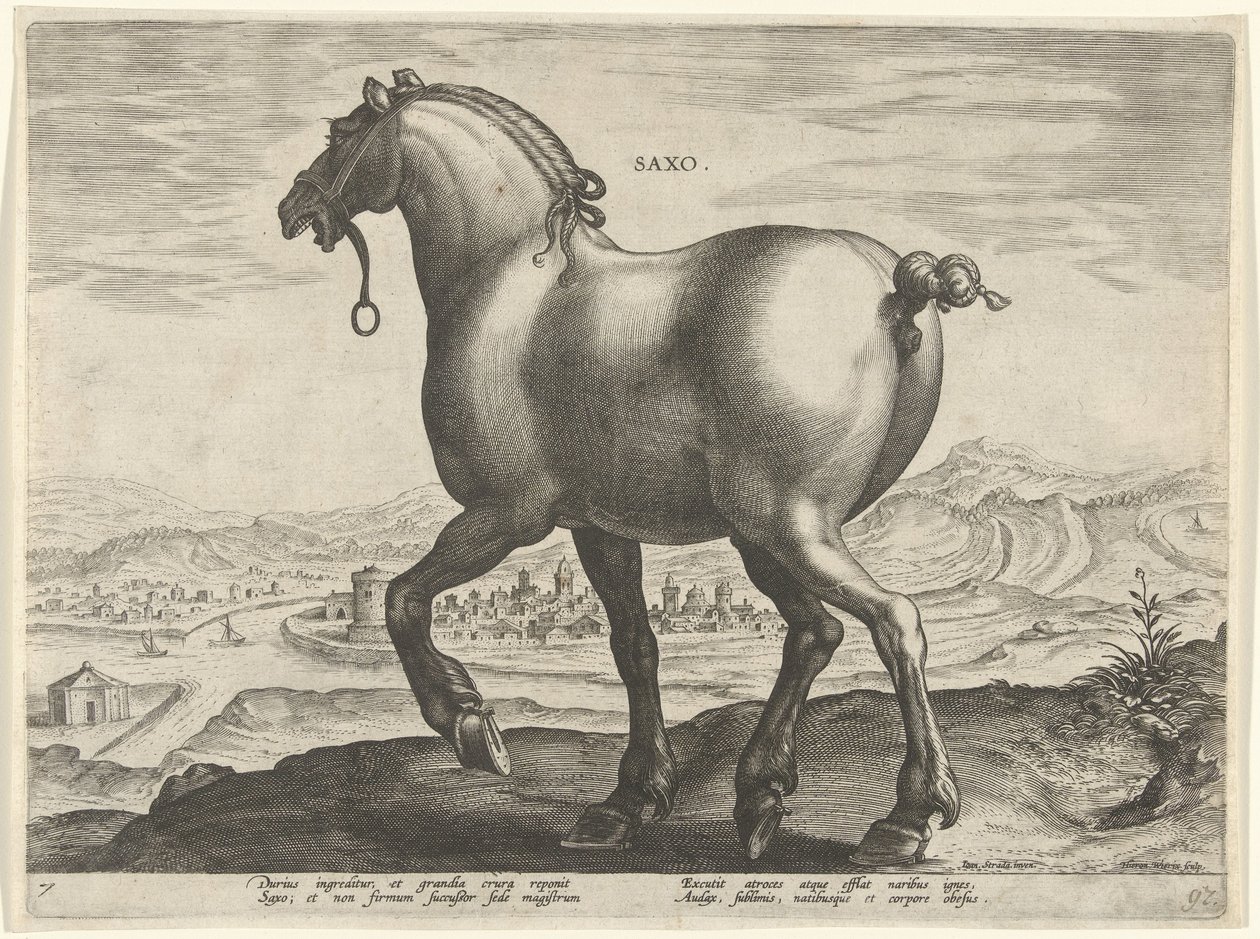 Pferd aus Sachsen von Hieronymus Wierix