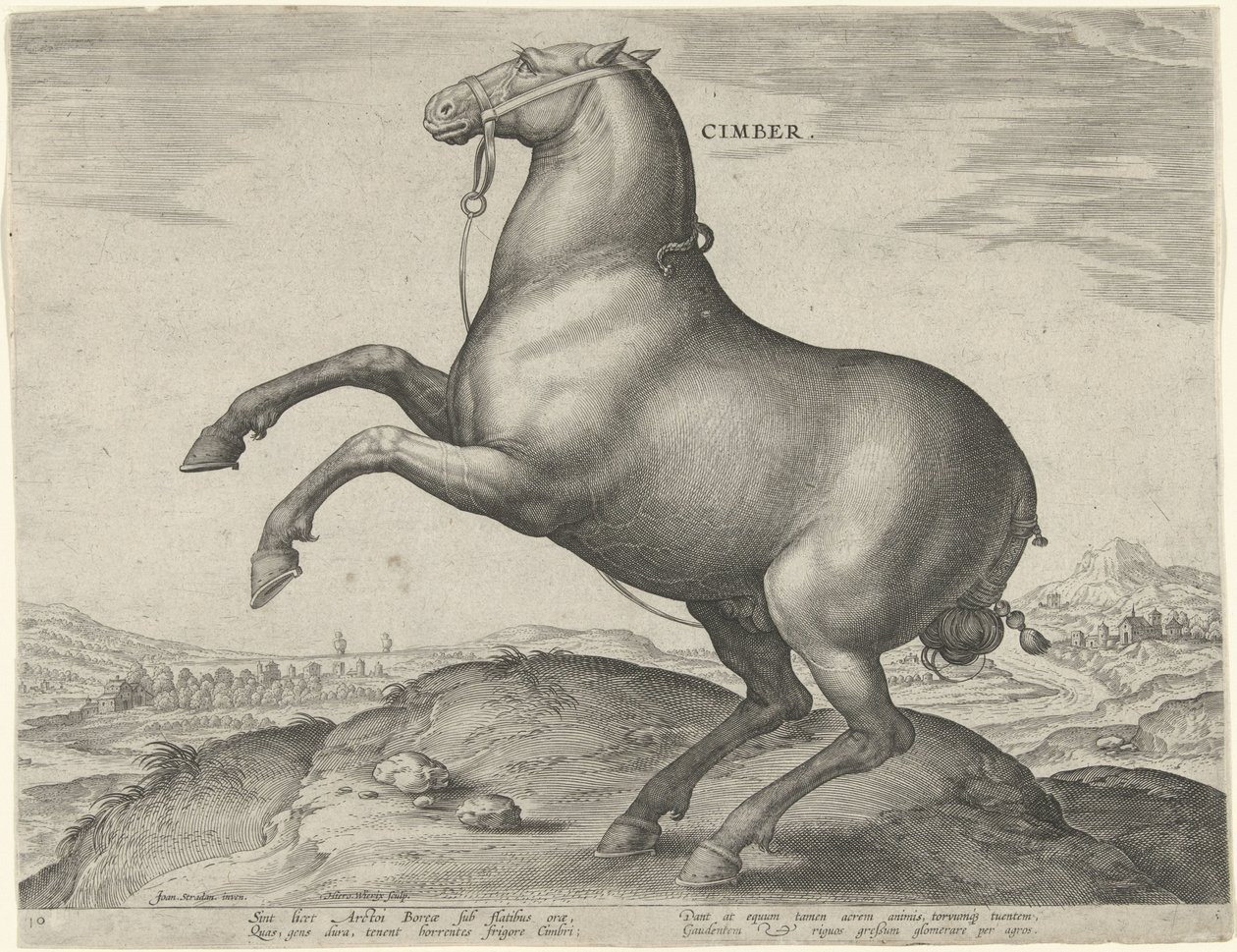 Pferd aus Skythien von Hieronymus Wierix