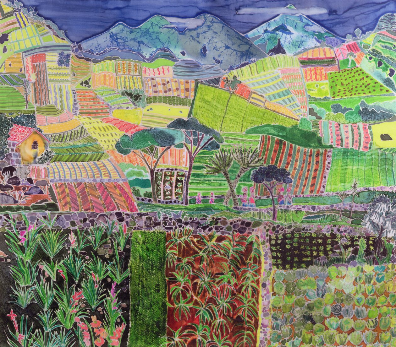 Kohl und Lilien wieder besucht, Guatemala, 2006 von Hilary Simon