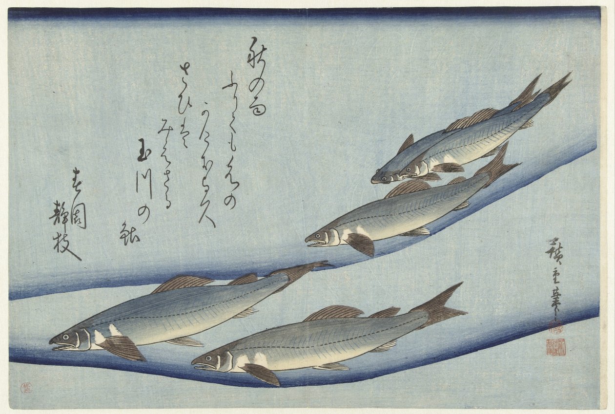 Forelle von Hiroshige (I) , Utagawa