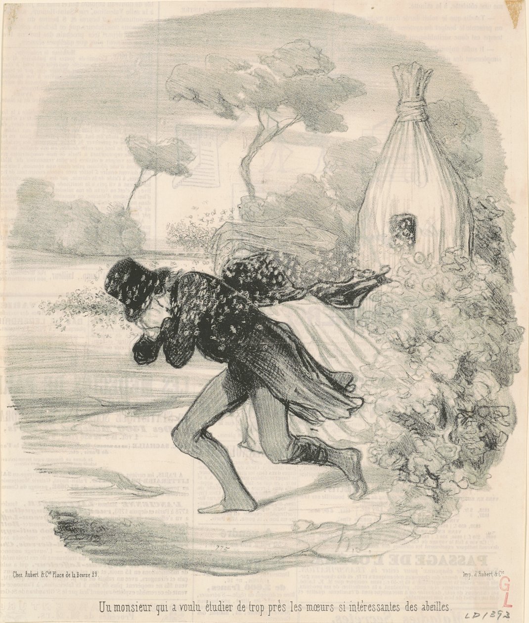Ein Herr, der die Sitten der Bienen studieren wollte von Honoré Daumier