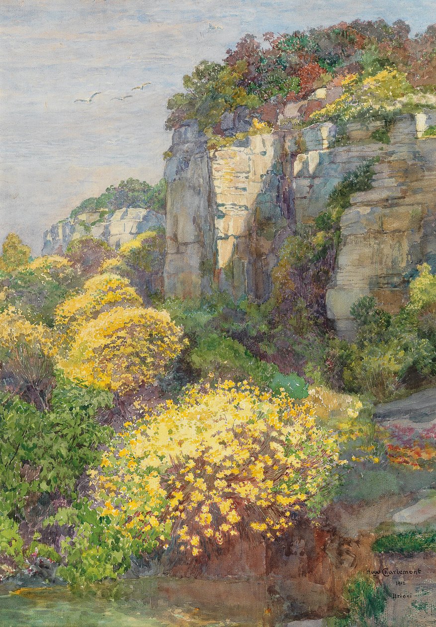 Ginsterblüte auf Brioni von Hugo Charlemont