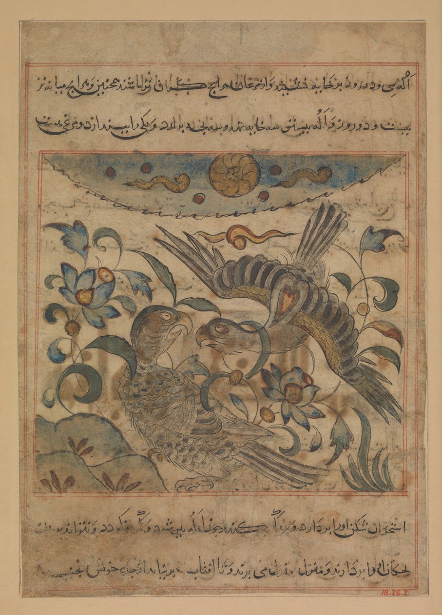 Paar Adler, Folio aus einem Manafi